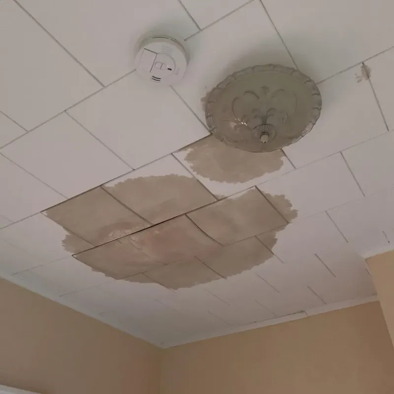 Ceiling Water Damage Repair in Clinton, ME