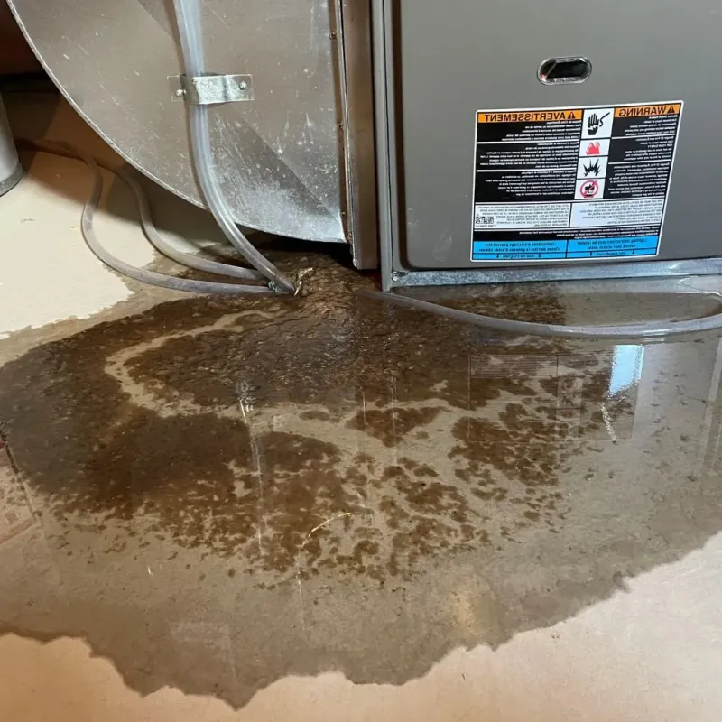 Pipe Burst and Leak Restoration in Clinton, ME